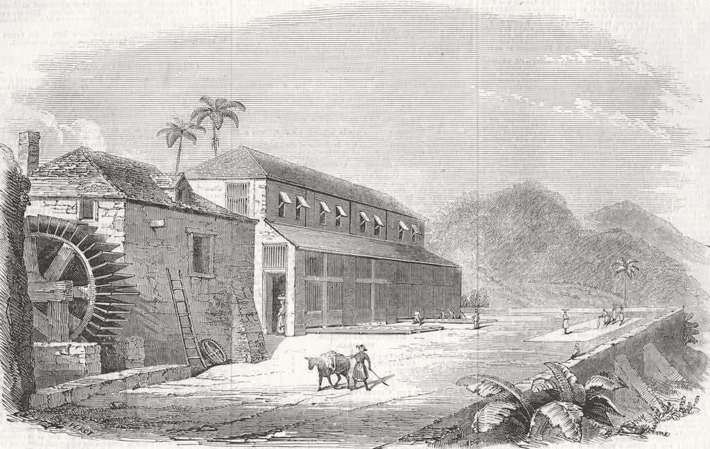 WEST INDIES. Bocan, or Cocoa-Drying House, Granada 1857 old antique print